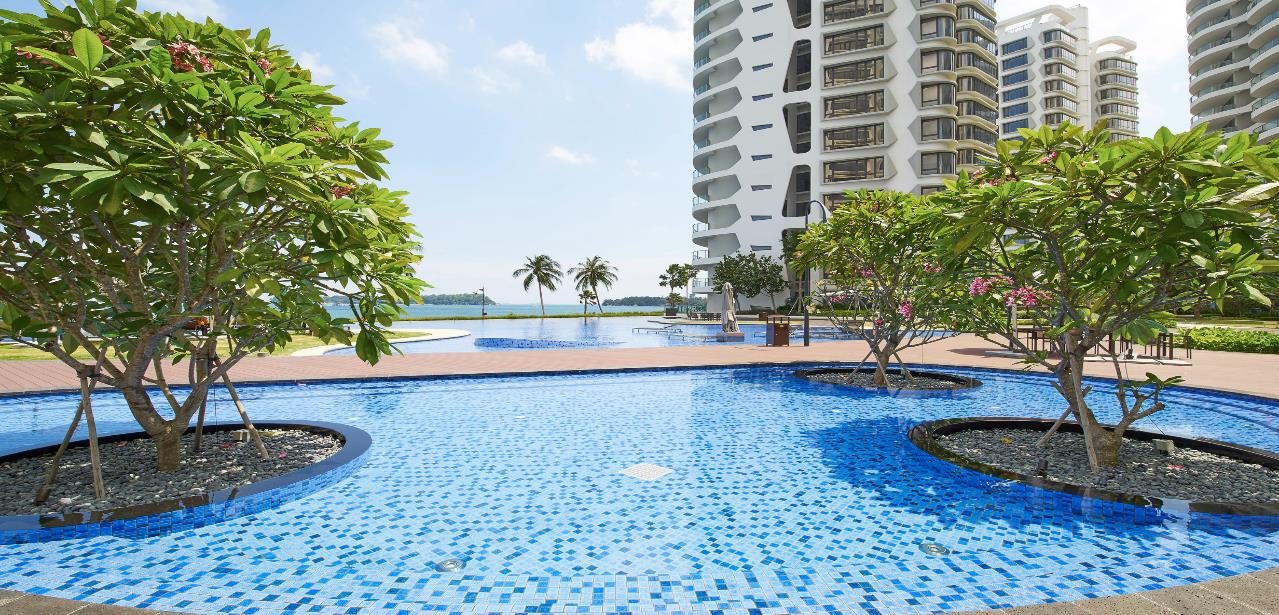 Pool with frangipani trees